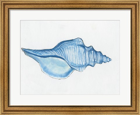 Framed Navy Conch Shell Print