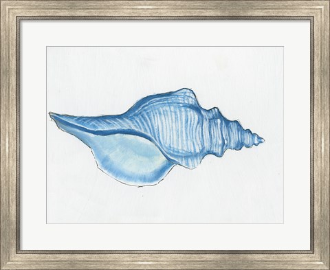 Framed Navy Conch Shell Print