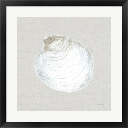 Framed Serene Shells II Tan Print