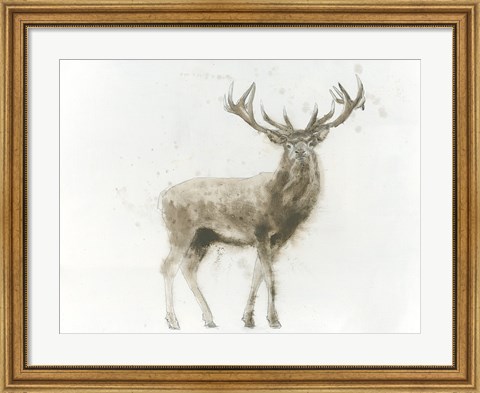 Framed Stag Print