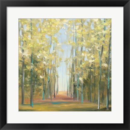 Framed Aspen Grove II Print