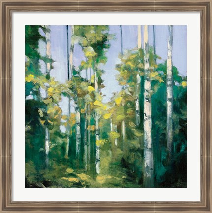 Framed Birches Print