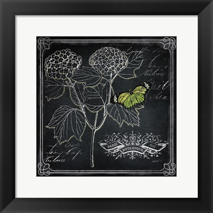 Framed Chalkboard Botanical I Print