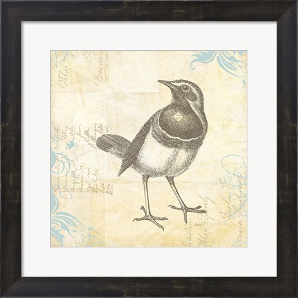 Framed Engraved Birds II Print