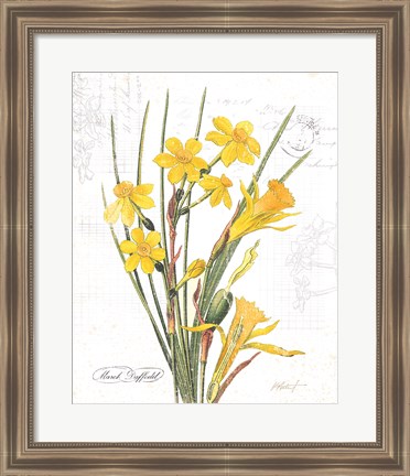 Framed March Daffodil on White Print