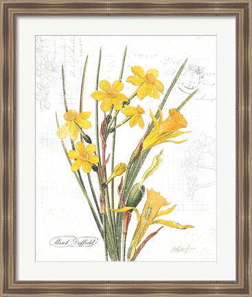 Framed March Daffodil on White Print