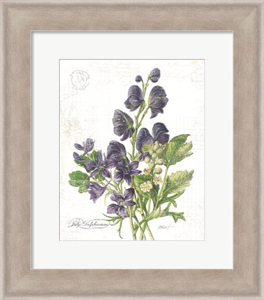 Framed July Delphinium on White Print