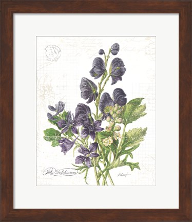 Framed July Delphinium on White Print