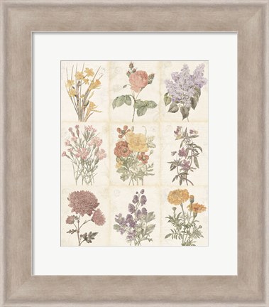 Framed Flowers of the Month 9 Patch Vintage Print