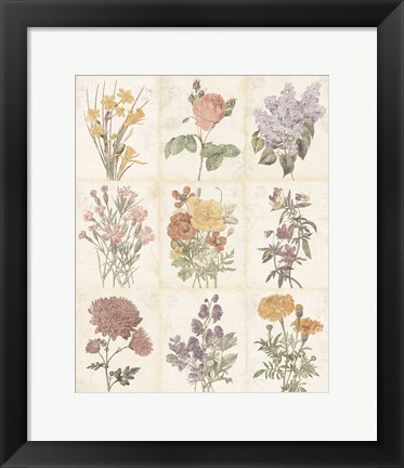 Framed Flowers of the Month 9 Patch Vintage Print