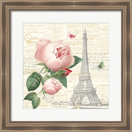 Framed Roses in Paris IV Print
