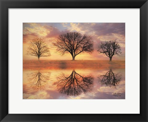 Framed Trio of Trees Print