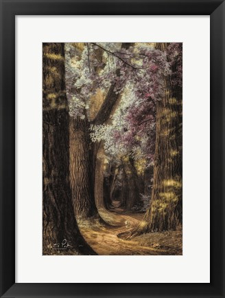 Framed Fluffy Road Print