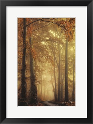 Framed Path of Liberation Print