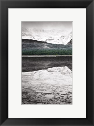 Framed Waterfowl Lake Panel I BW with Color Print