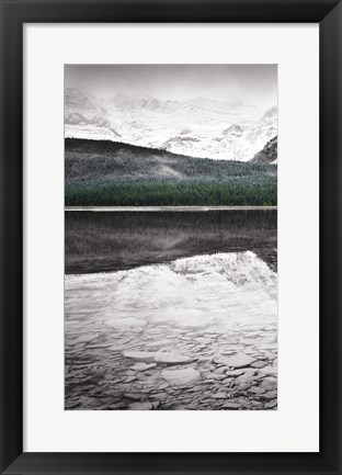 Framed Waterfowl Lake Panel I BW with Color Print