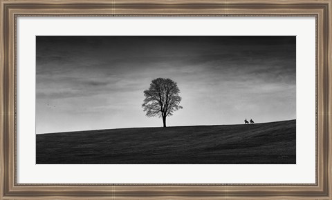 Framed In the Distance Print
