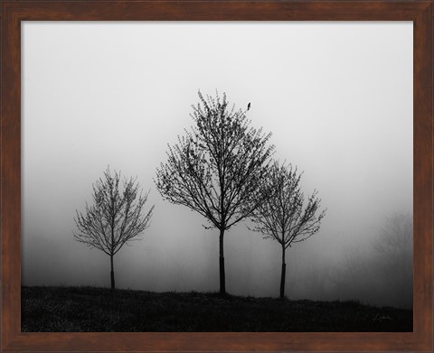 Framed In the Fog Crop Print