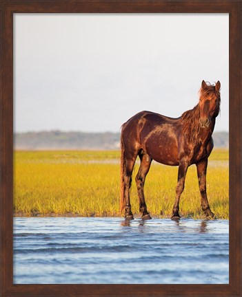 Framed By the River Print