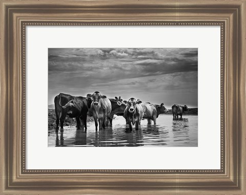 Framed In the River Print