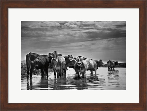 Framed In the River Print