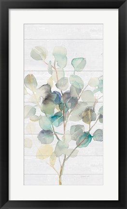 Framed Eucalyptus III on Shiplap Crop Print