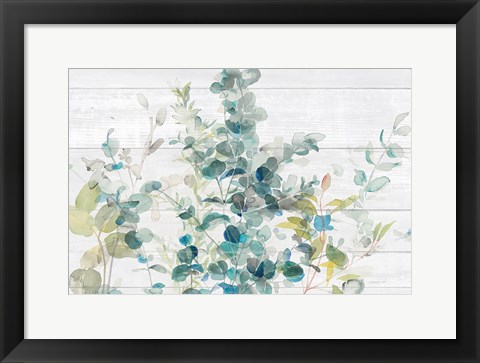 Framed Eucalyptus I on Shiplap Crop Print