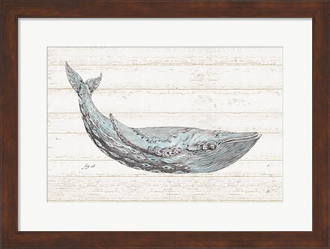 Framed Underwater Life I Blue Print