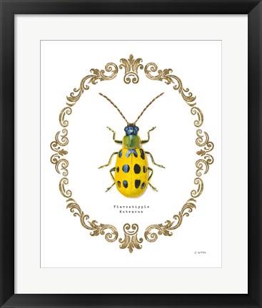 Framed Adorning Coleoptera VII Print