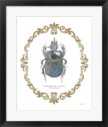 Framed Adorning Coleoptera IV Print