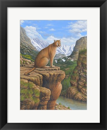 Framed Cougar Print