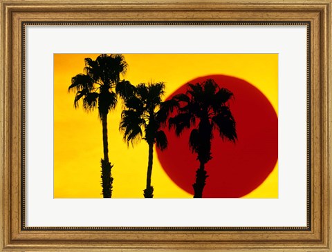 Framed 1990S 3 Silhouetted Palm Trees Print