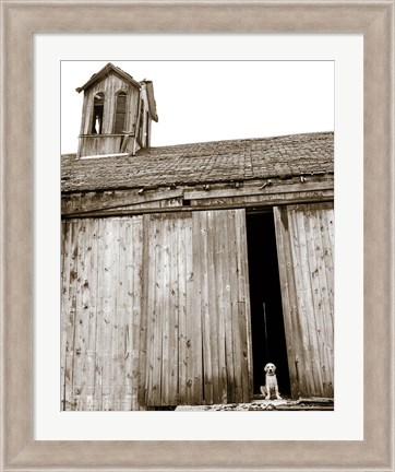 Framed Barnyard Dog Print