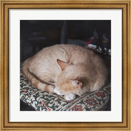 Framed Sleepy Afternoon Print