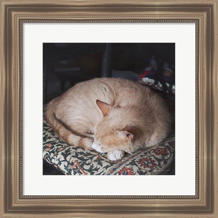 Framed Sleepy Afternoon Print