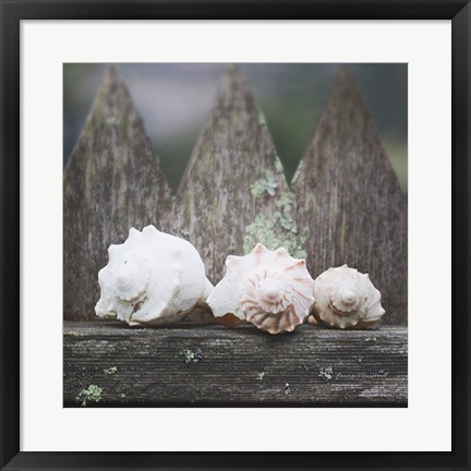 Framed Beach Treasures Print