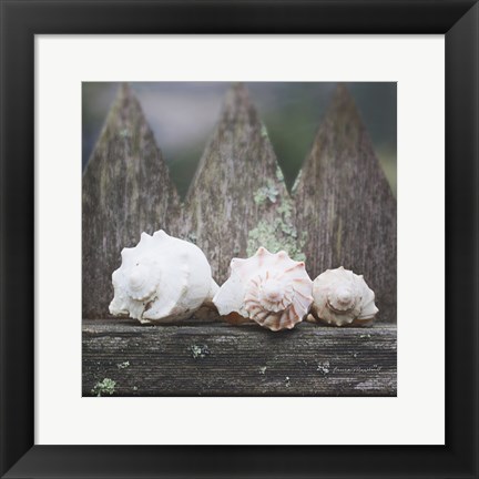 Framed Beach Treasures Print