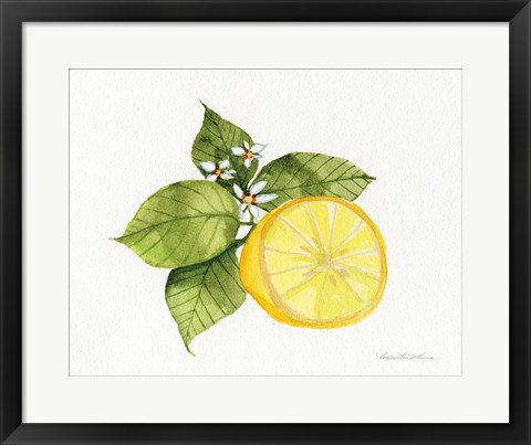 Framed Citrus Garden IX Print