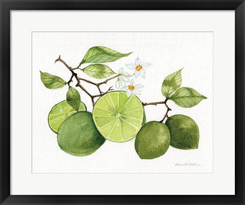 Framed Citrus Garden VII Print