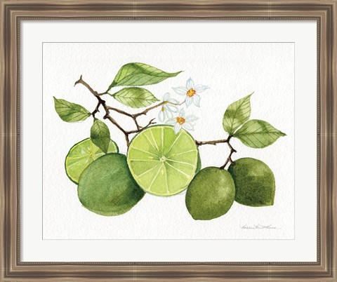 Framed Citrus Garden VII Print