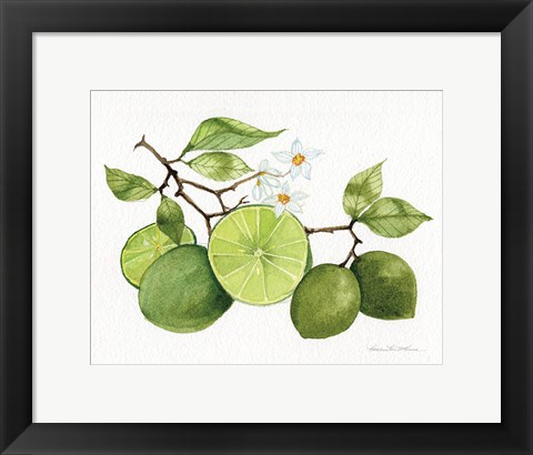 Framed Citrus Garden VII Print