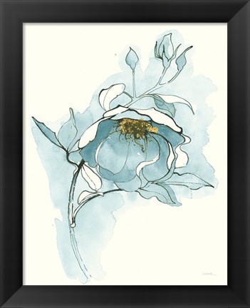 Framed Carols Roses V Blue Print