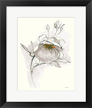 Framed Carols Roses V Off White Print