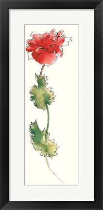 Framed Peony Form Poppies I Print