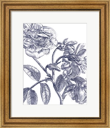 Framed Belle Fleur I Light Crop Print