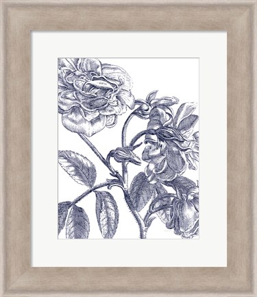 Framed Belle Fleur I Light Crop Print