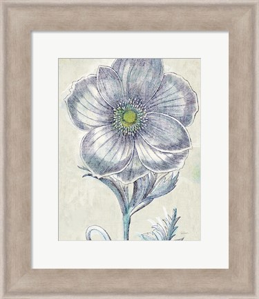 Framed Belle Fleur II Crop Print