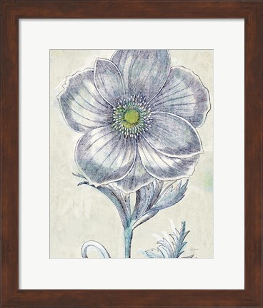 Framed Belle Fleur II Crop Print