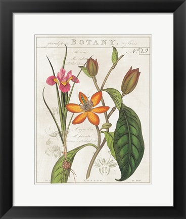 Framed Vintage Flora III Ivory Print