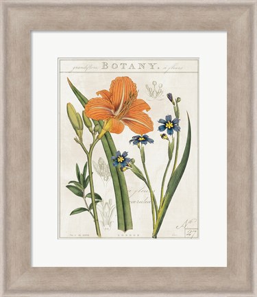 Framed Vintage Flora II Ivory Print